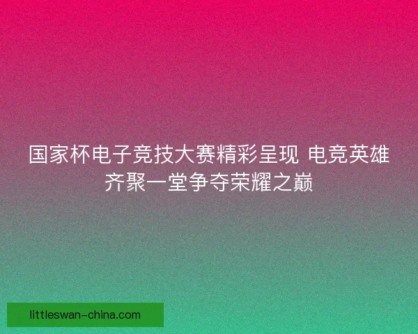 国家杯电子竞技大赛精彩呈现 电竞英雄齐聚一堂争夺荣耀之巅