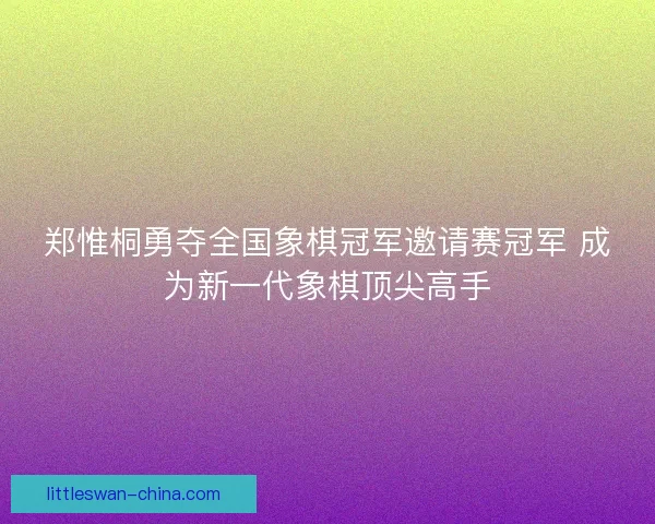 郑惟桐勇夺全国象棋冠军邀请赛冠军 成为新一代象棋顶尖高手